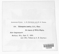 Image Associated With the Occurence
